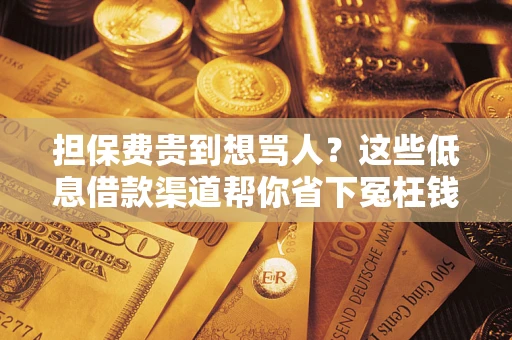 武汉担保费贵到想骂人？这些低息借款渠道帮你省下冤枉钱
