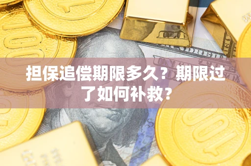 武汉担保追偿期限多久？期限过了如何补救？