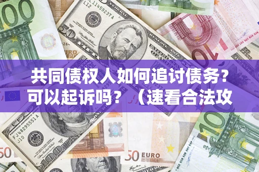 武汉共同债权人如何追讨债务？可以起诉吗？（速看合法攻略）